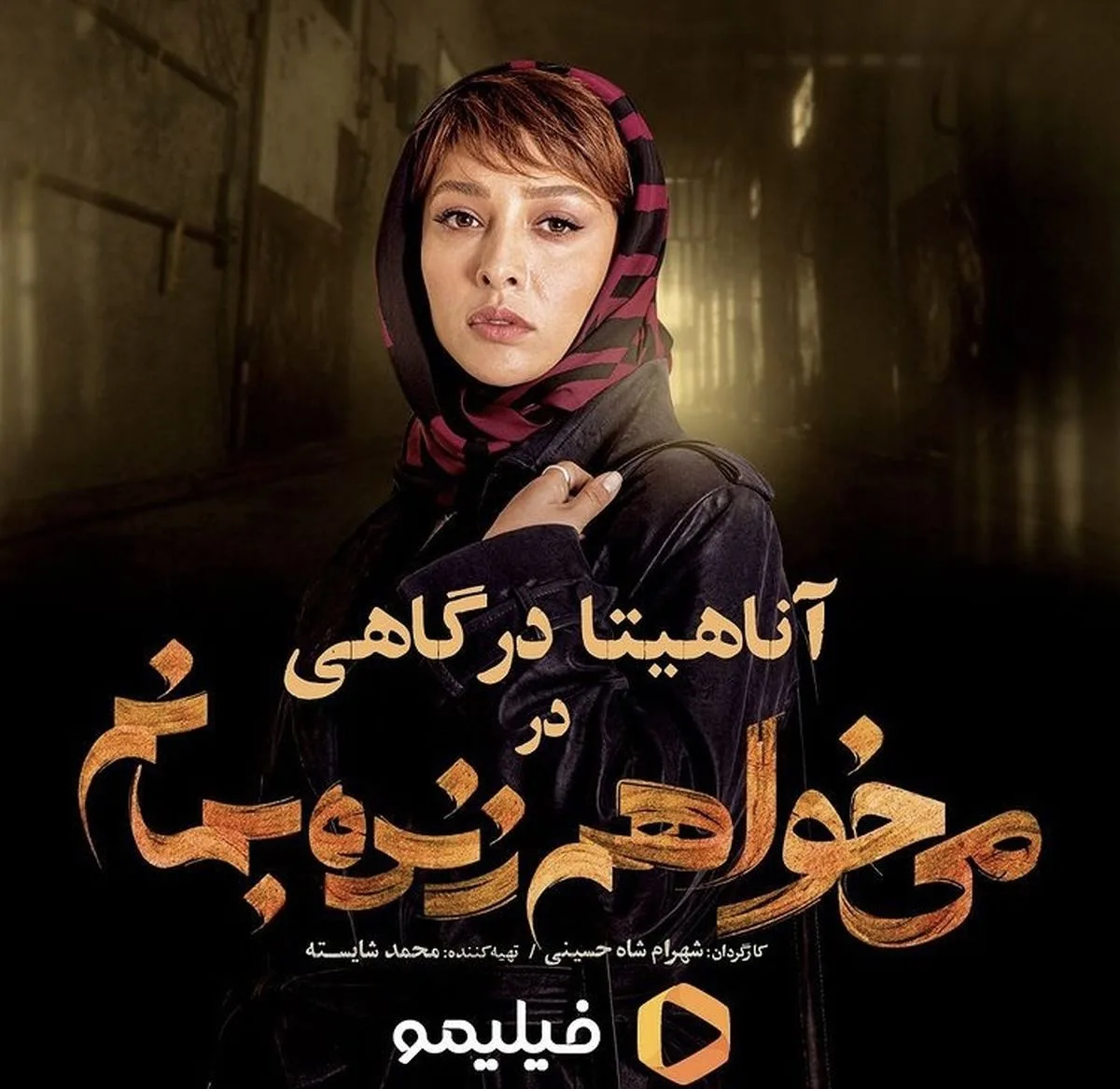بیوگرافی آناهیتا درگاهی و همسرانش؛ از محمد پروین تا اشکان خطیبی