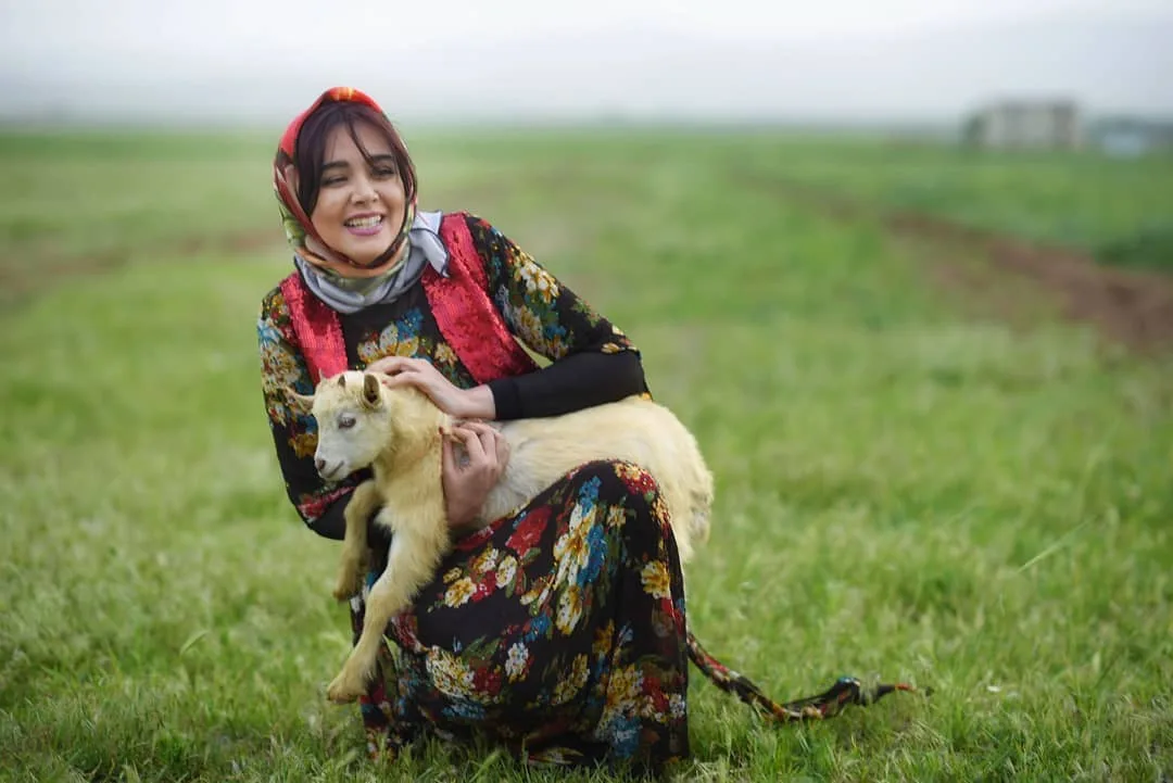 ندا قاسمی