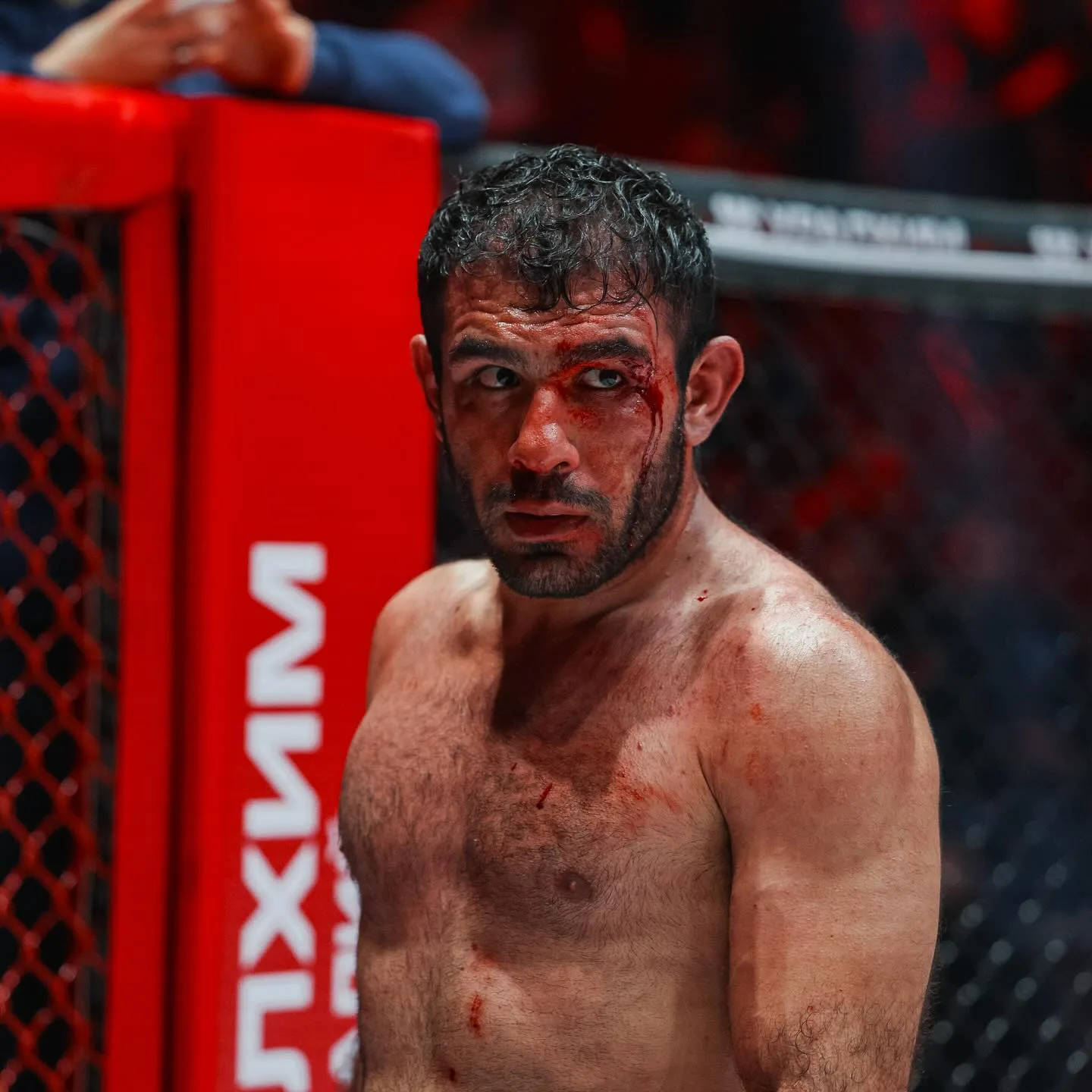 بیوگرافی علی هیبتی: از مهندسی در آلمان تا مبارزه در رینگ MMA