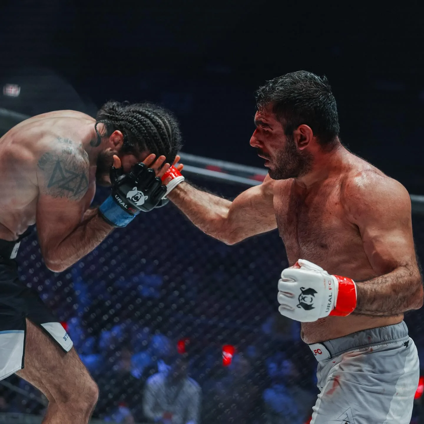بیوگرافی علی هیبتی: از مهندسی در آلمان تا مبارزه در رینگ MMA