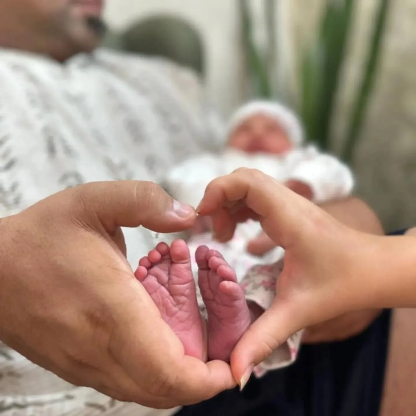 بیوگرافی علی اکبر جعفری فینالیست مردان آهنین ۱۴۰۴