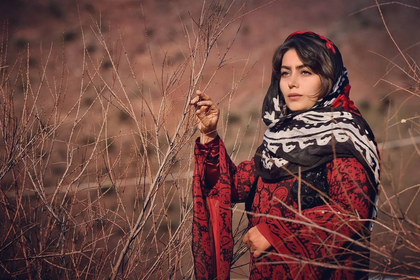بیوگرافی و اسامی بازیگران سریال کارآگاه علوی ۳ + زمان پخش هدیه بازوند در نقش روژان خانزاده