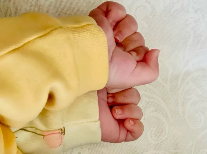 بیوگرافی ذاکر تیموری گوینده خبر صدا و سیما از خطه کرمانشاه و حواشی او بیوگرافی ذاکر تیموری گوینده خبر صدا و سیما از خطه کرمانشاه و حواشی او