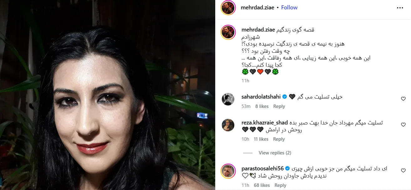 دلنوشته سوزناک مهرداد ضیایی برای درگذشت همسرش شهرزاد جواهری دلنوشته سوزناک مهرداد ضیایی برای درگذشت همسرش شهرزاد جواهری